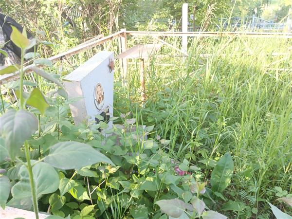 Французов Николай Борисович