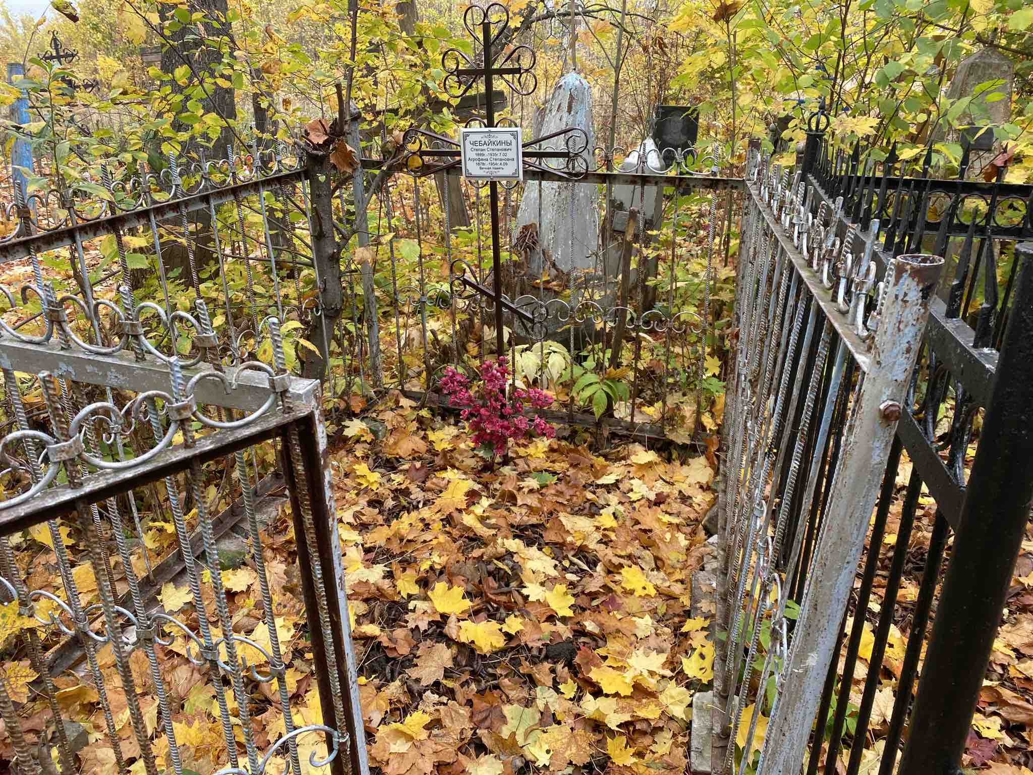 Чебайкина Агрофена Степановна