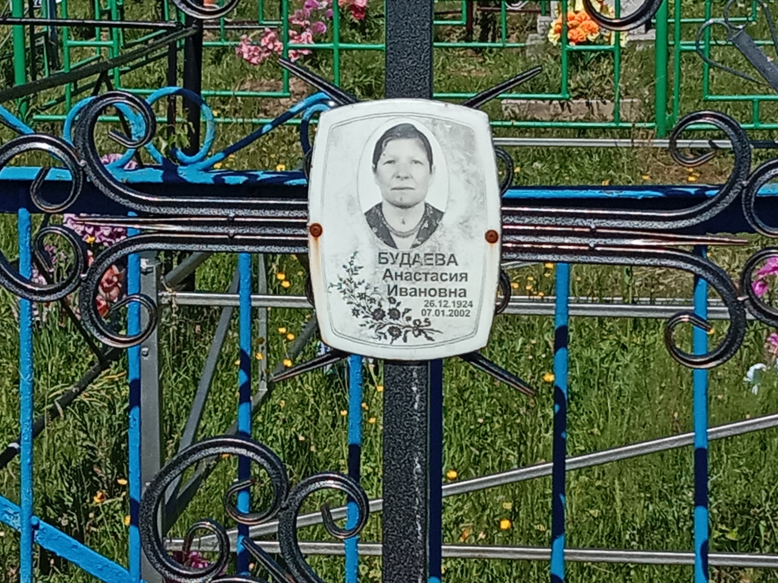 Будаева Анастасия Ивановна