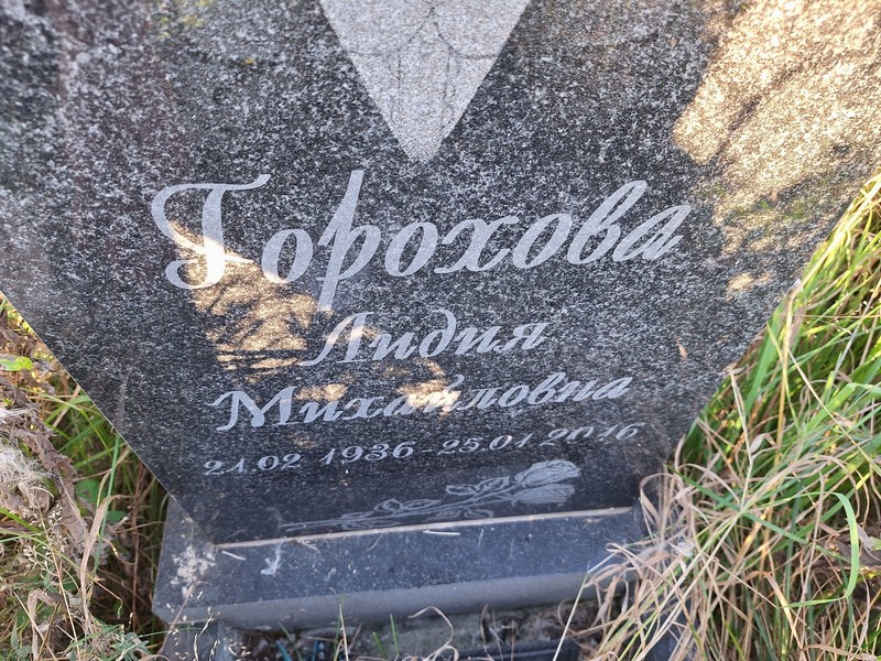 Горохова