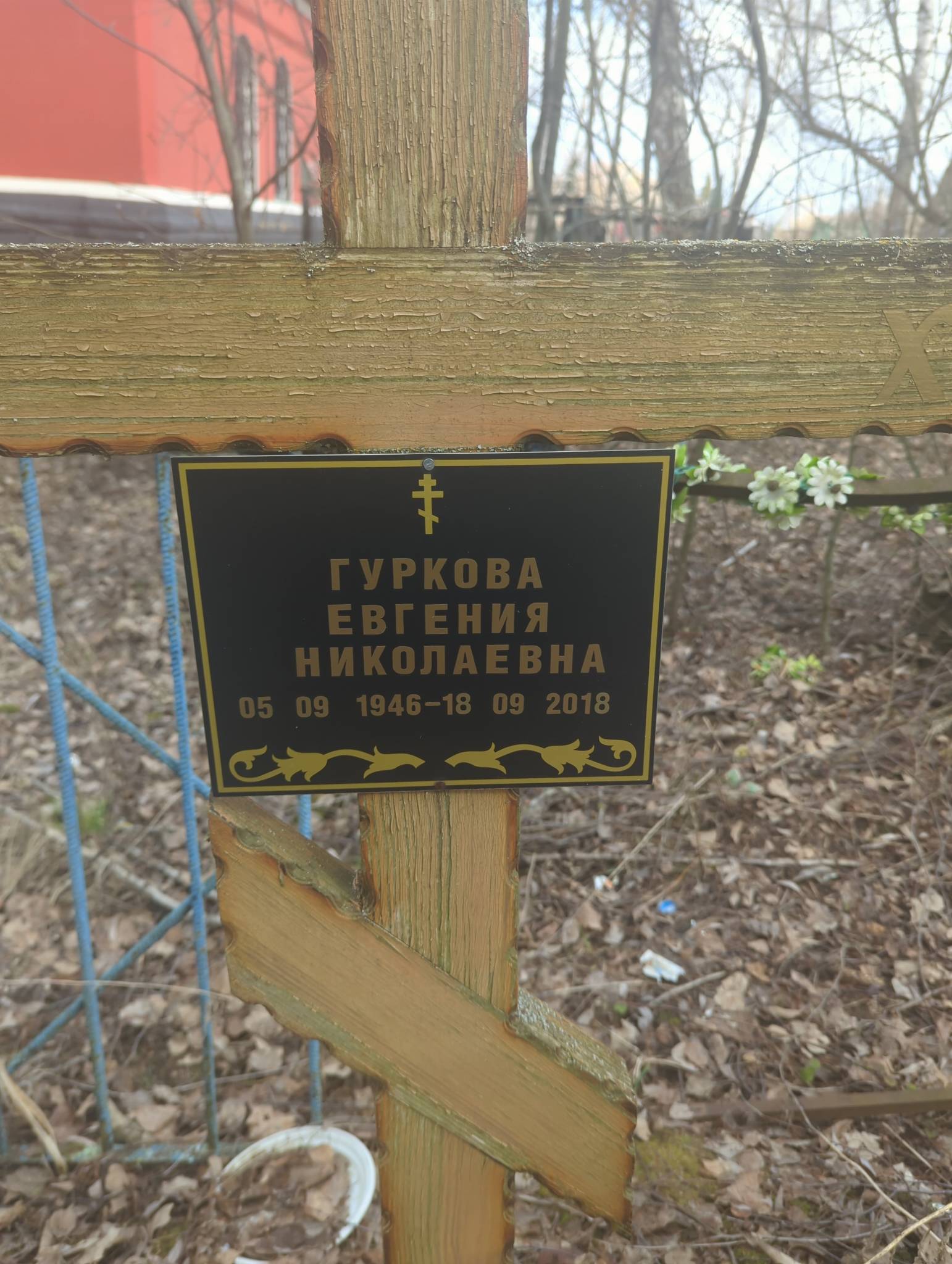 Гуркова Евгения Николаевна