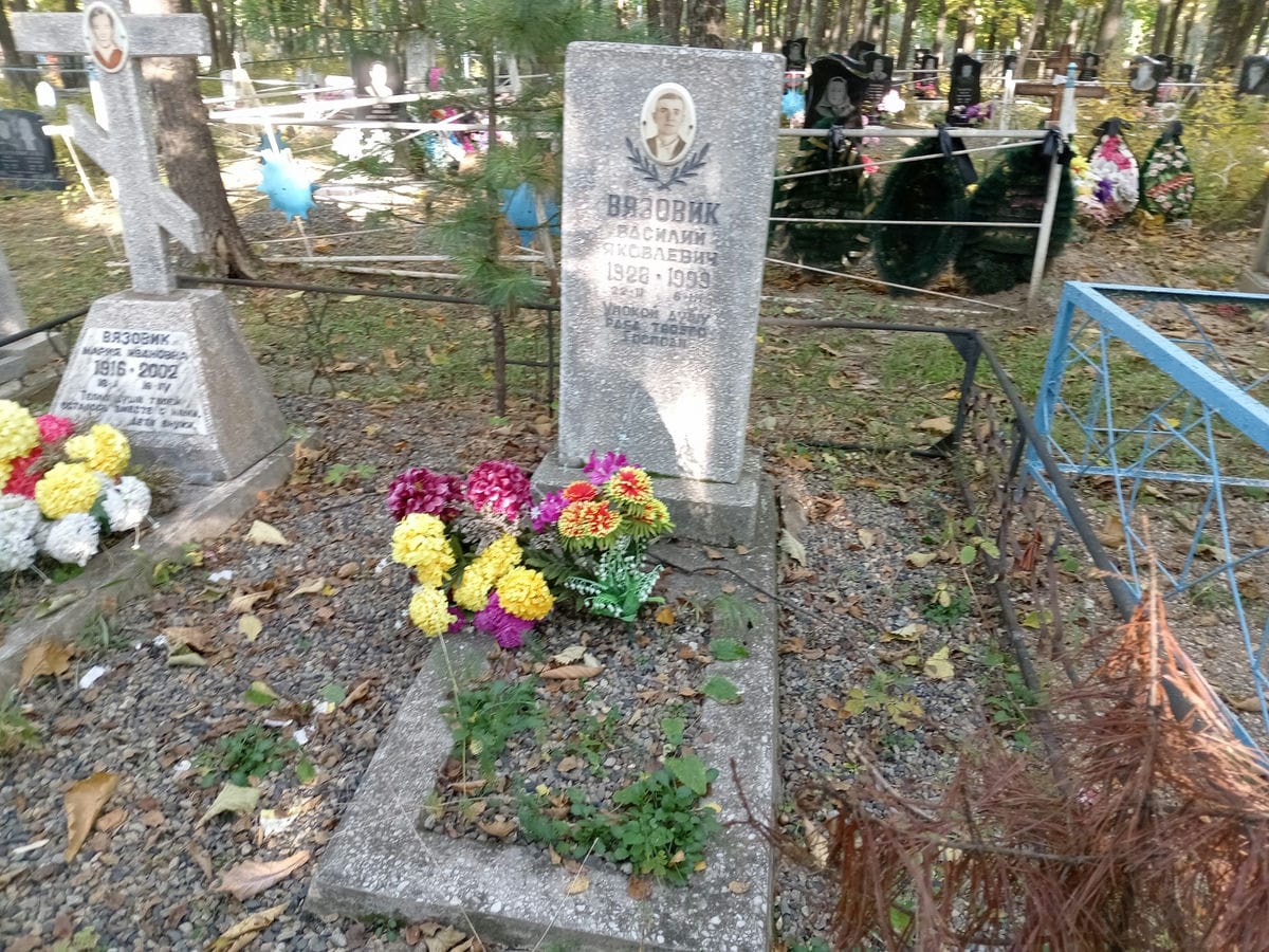 Вязовик Василий Яковлевич