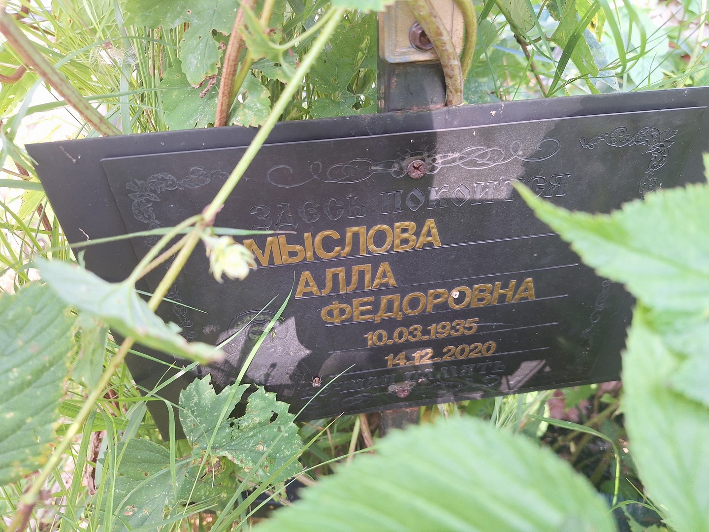 Алла Мыслова Федоровна