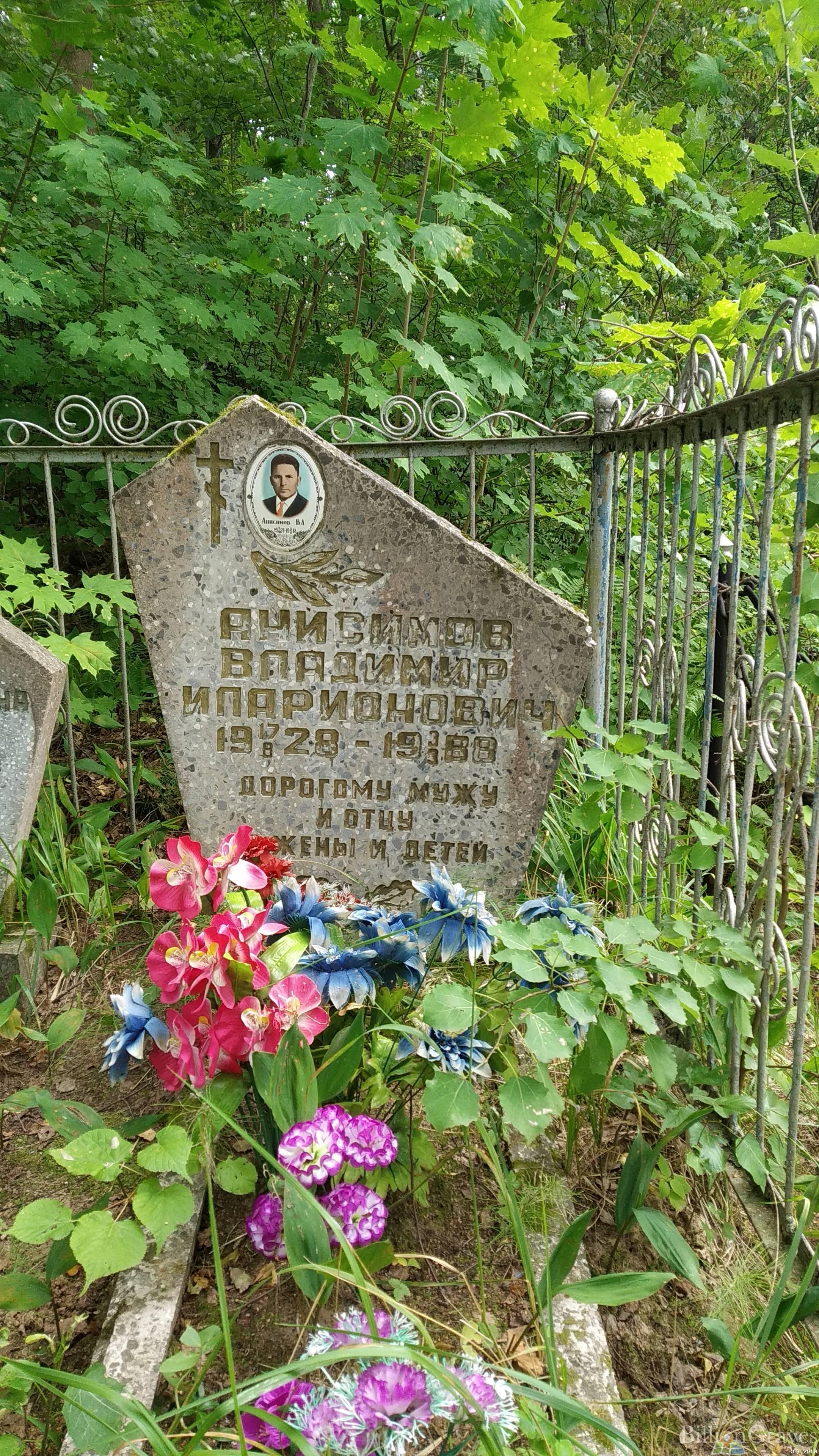 Анисимов Владимир Иларионович