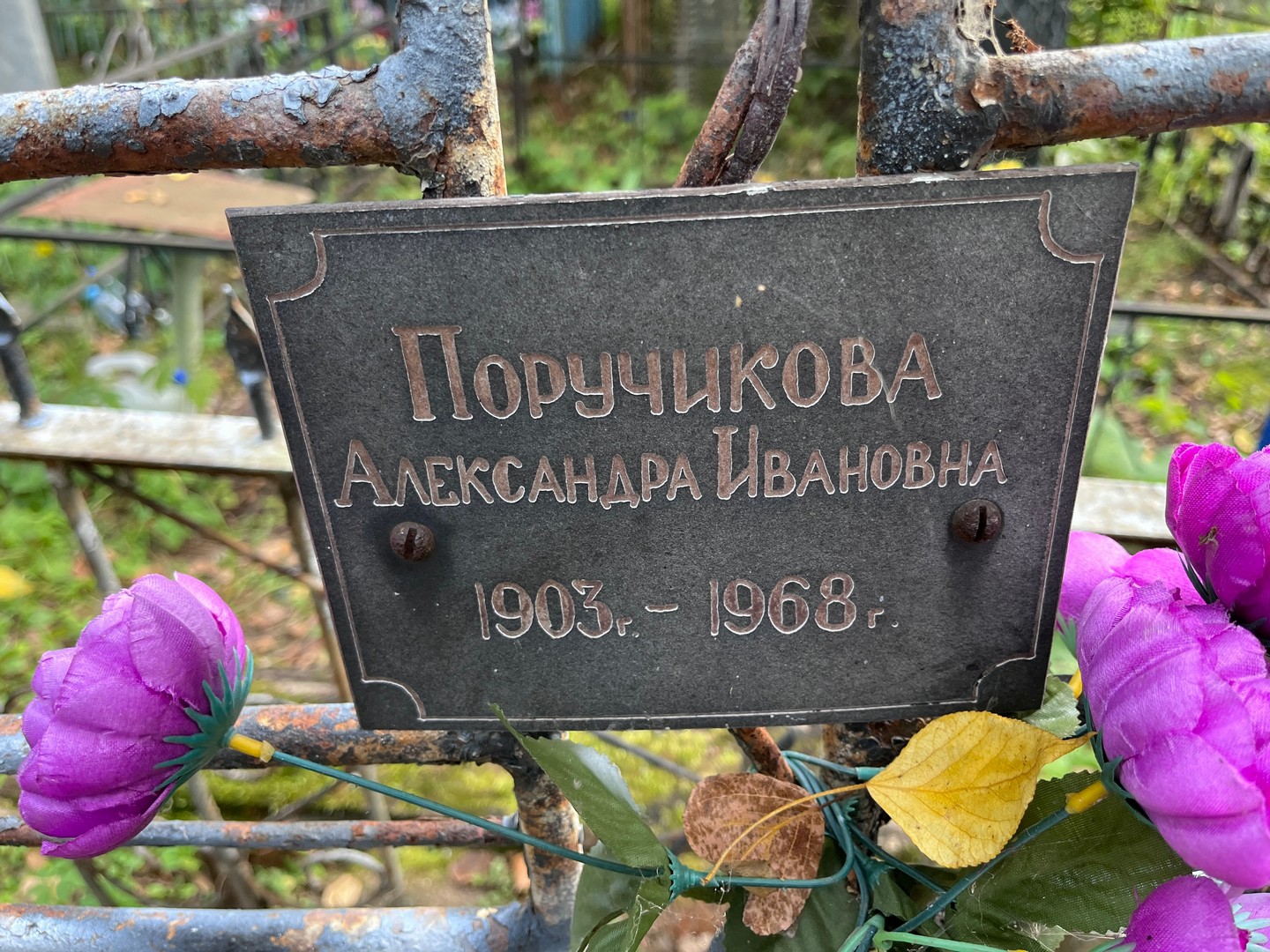 Поручикова Александра Ивановна