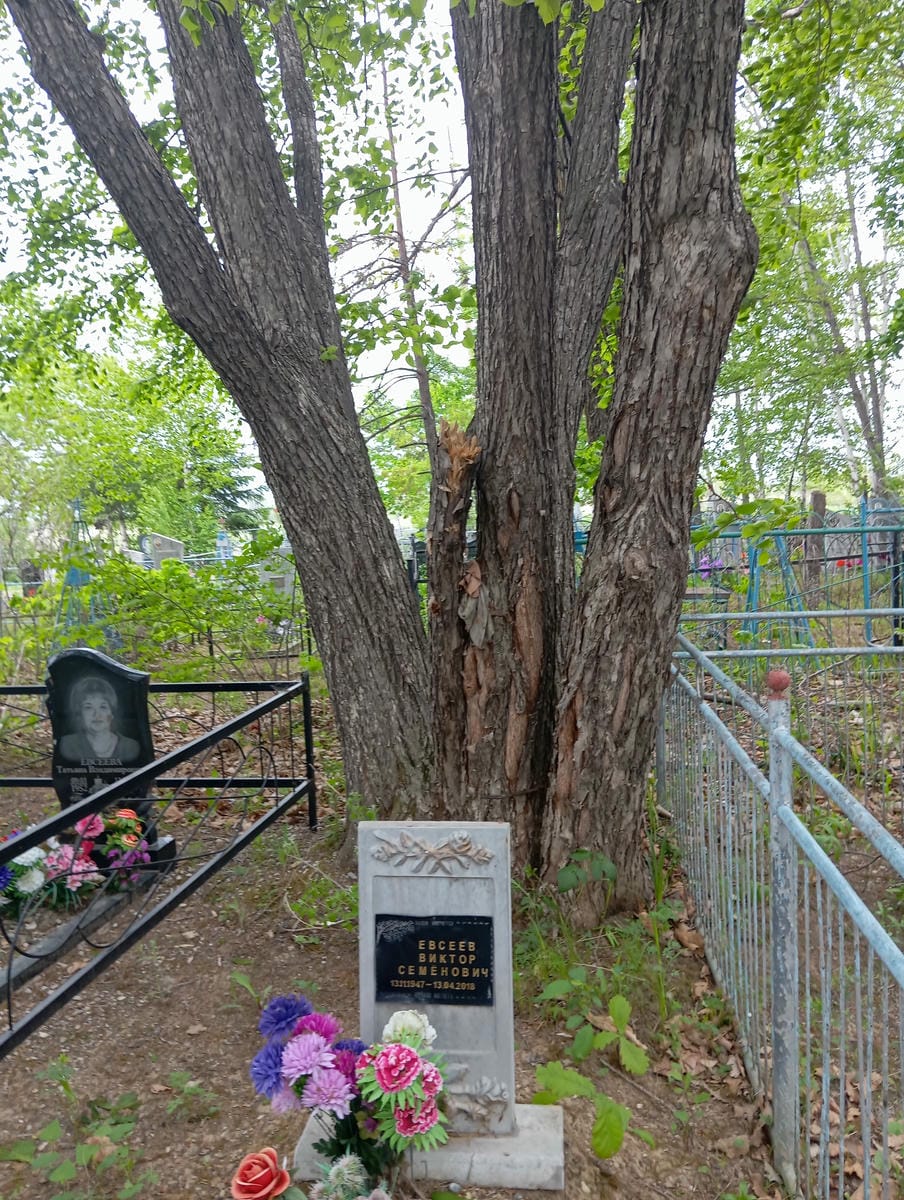 Евсеев Виктор Семёнович