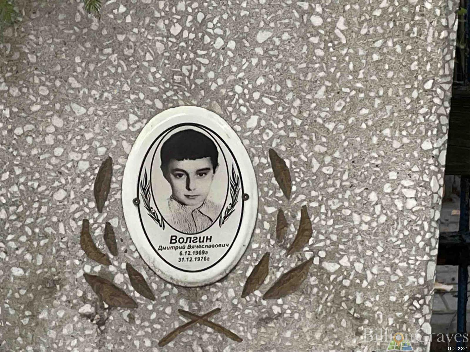 Волгин Дмитрий Вячеславович