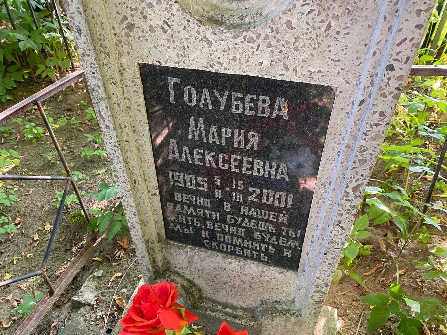 Голубева