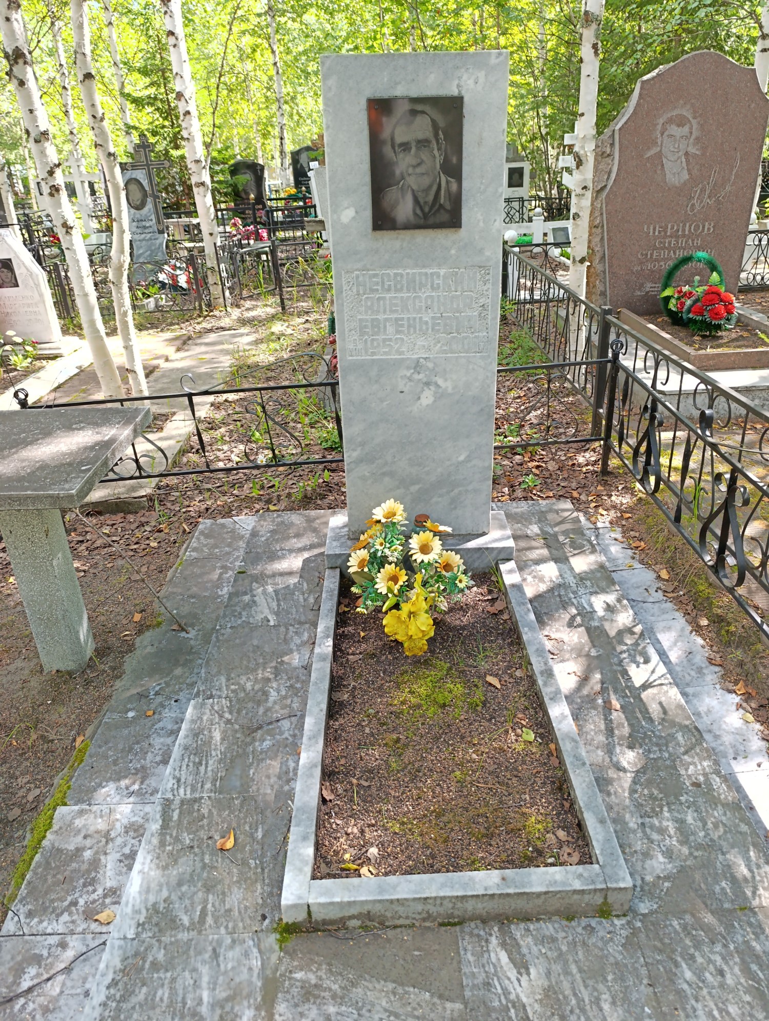 Несвирский Александр Евгеньевич