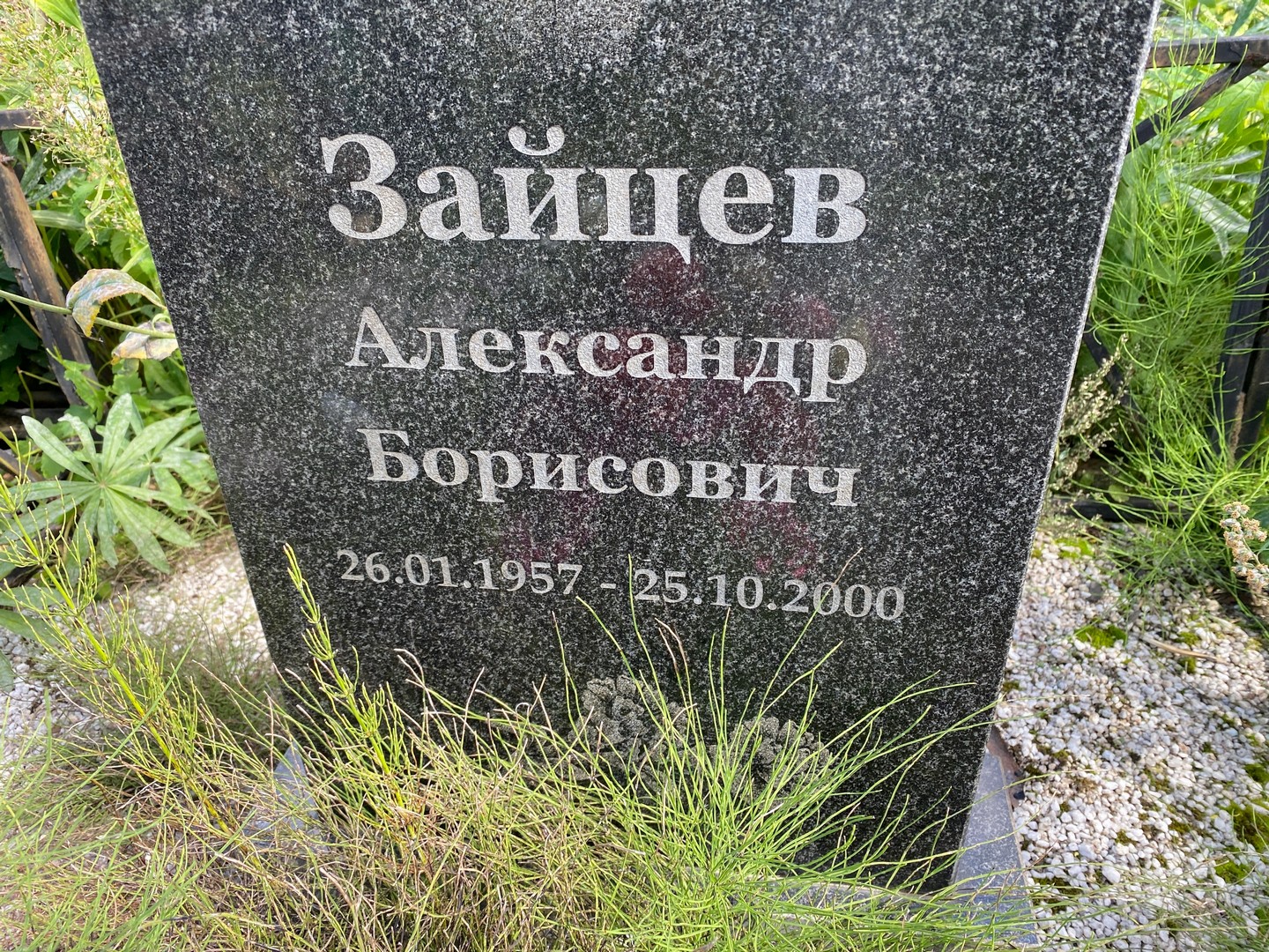 Зайцев