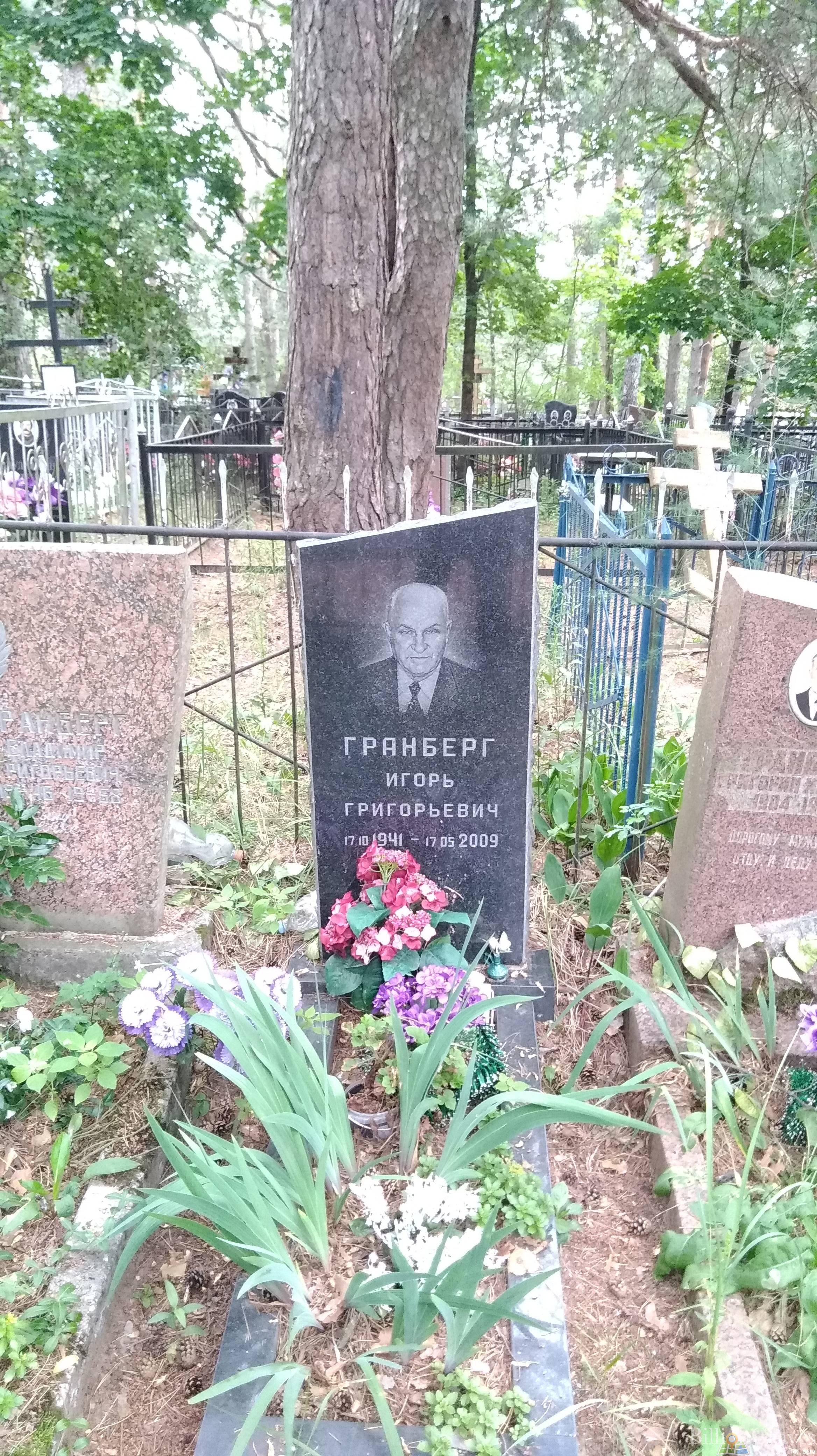 Гранберг Игорь Григорьевич