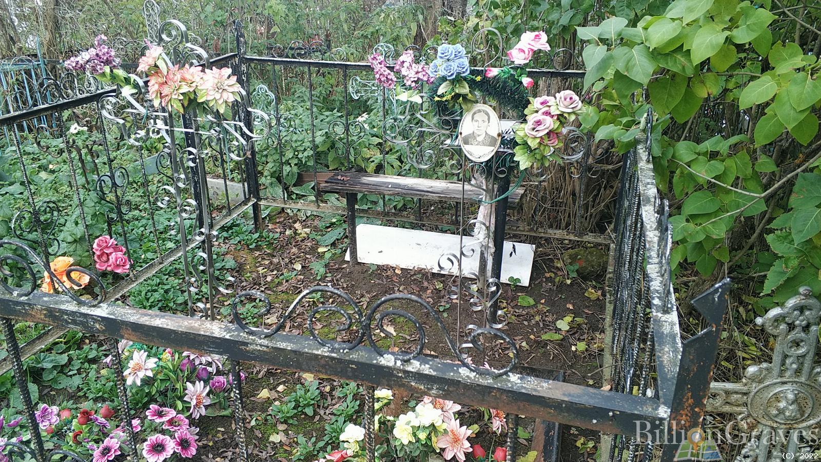Богомолова Анфиса Логиновна