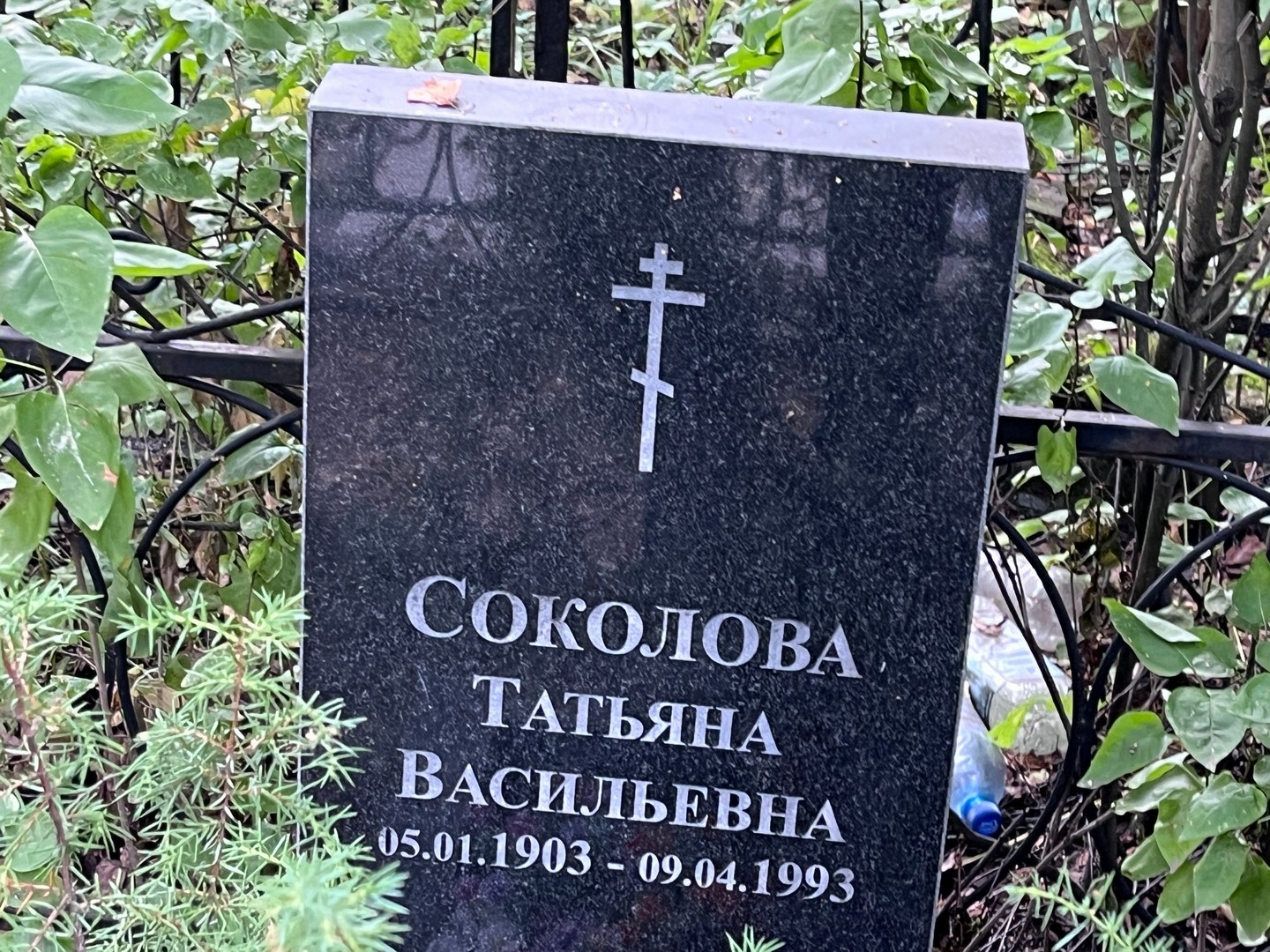 Соколова