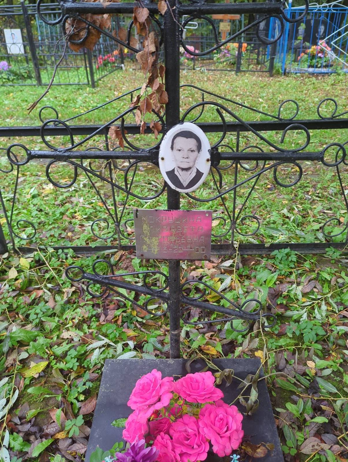 Мокрушина Елизавета Григорьевна