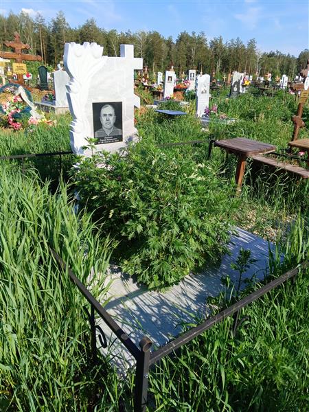 Локшин Сергей Аркадьевич