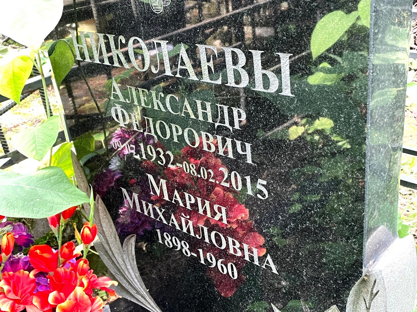 Николаева