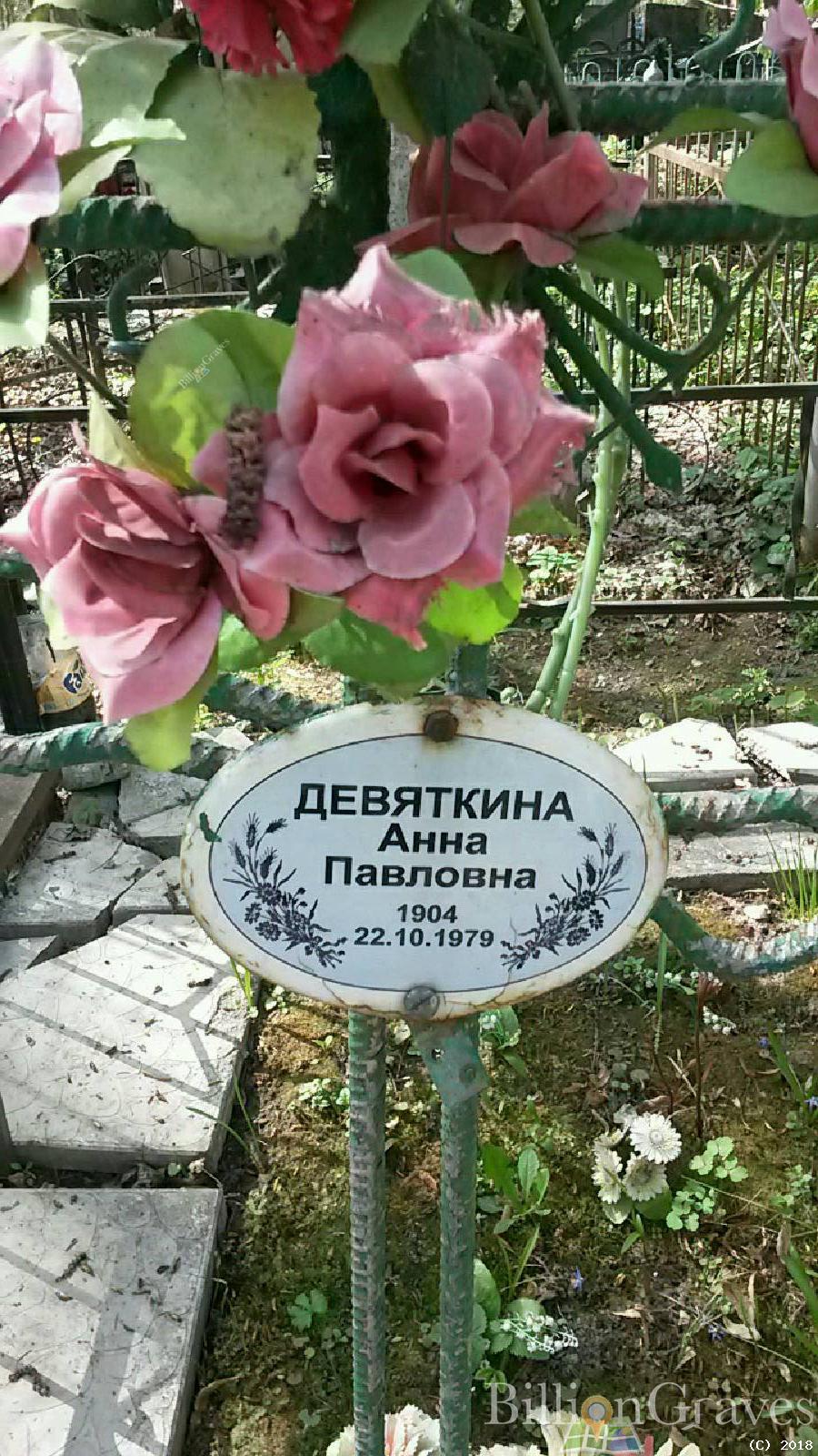 девяткин анатолий геннадьевич