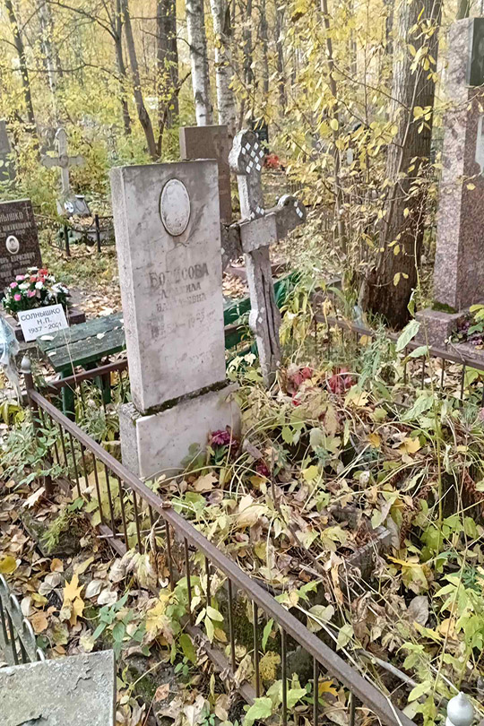 Борисова Людмила Васильевна