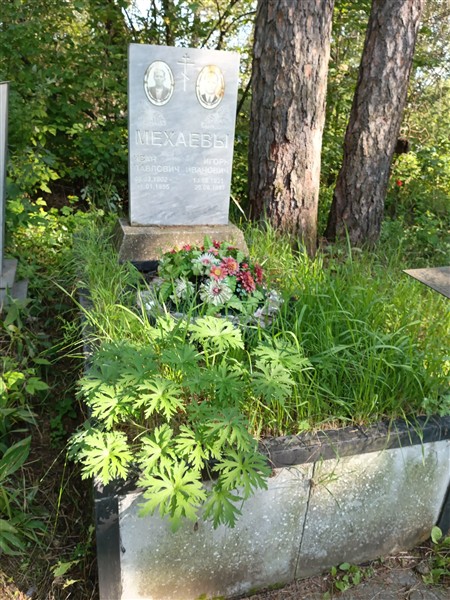 Мехаев Игорь Иванович