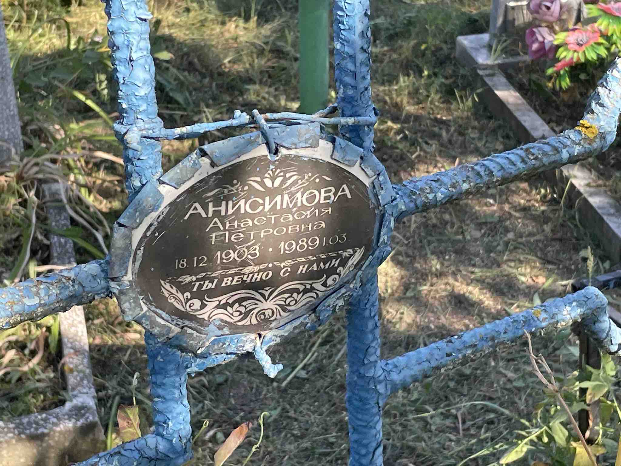 Анисимова Анастасия Петровна