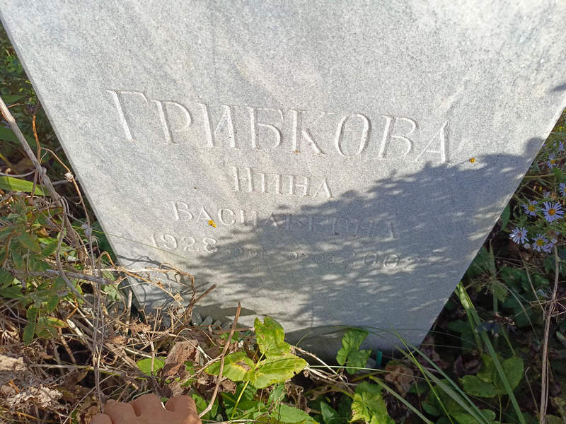 Грибкова
