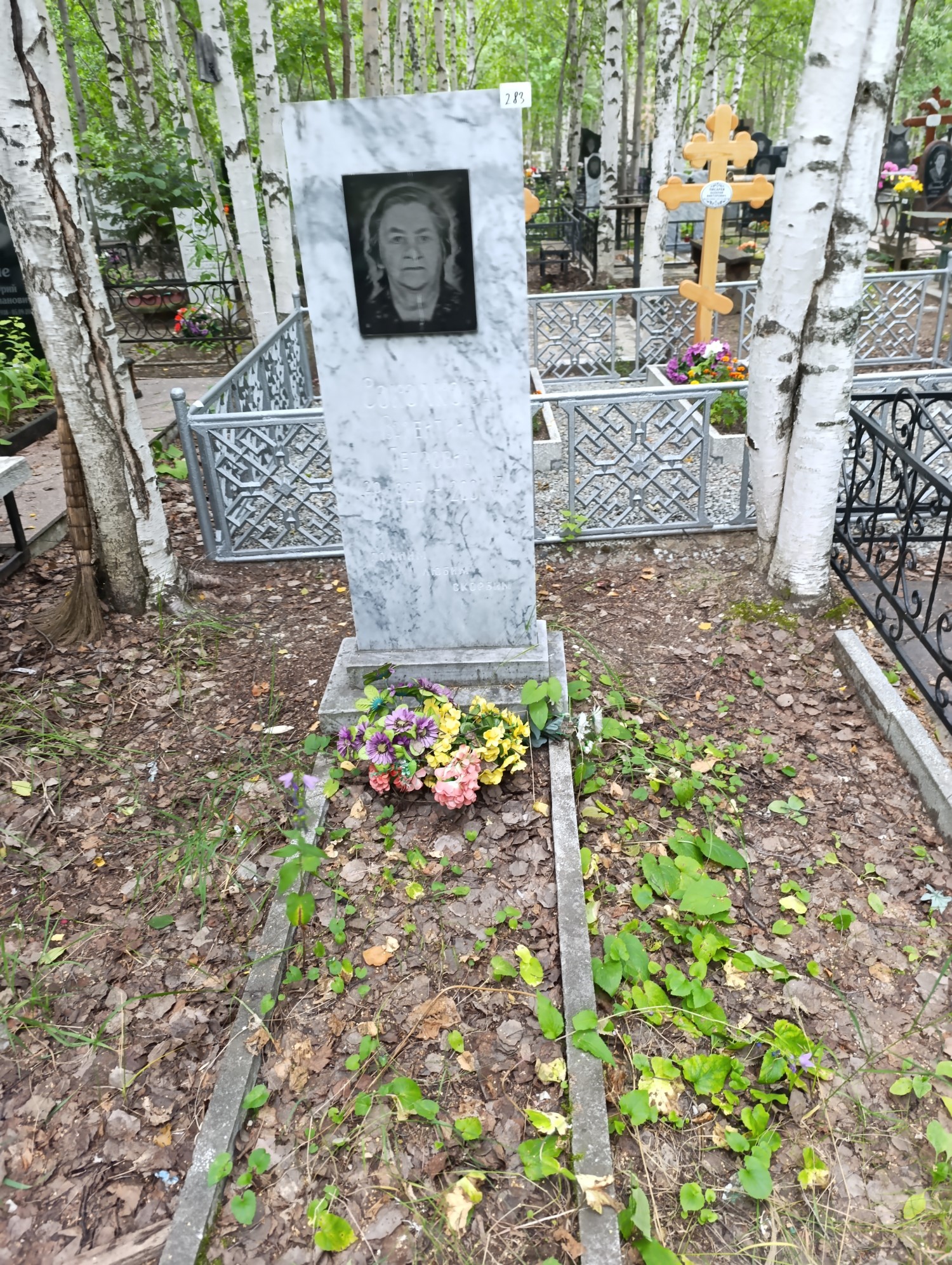 Соколкова Валентина Петровна