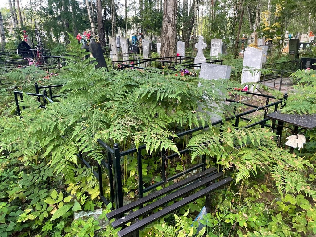 Ветохина Валентина Васильевна