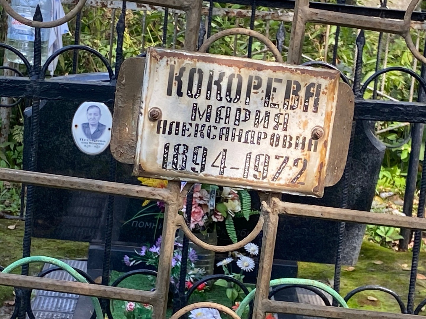 Кокорева