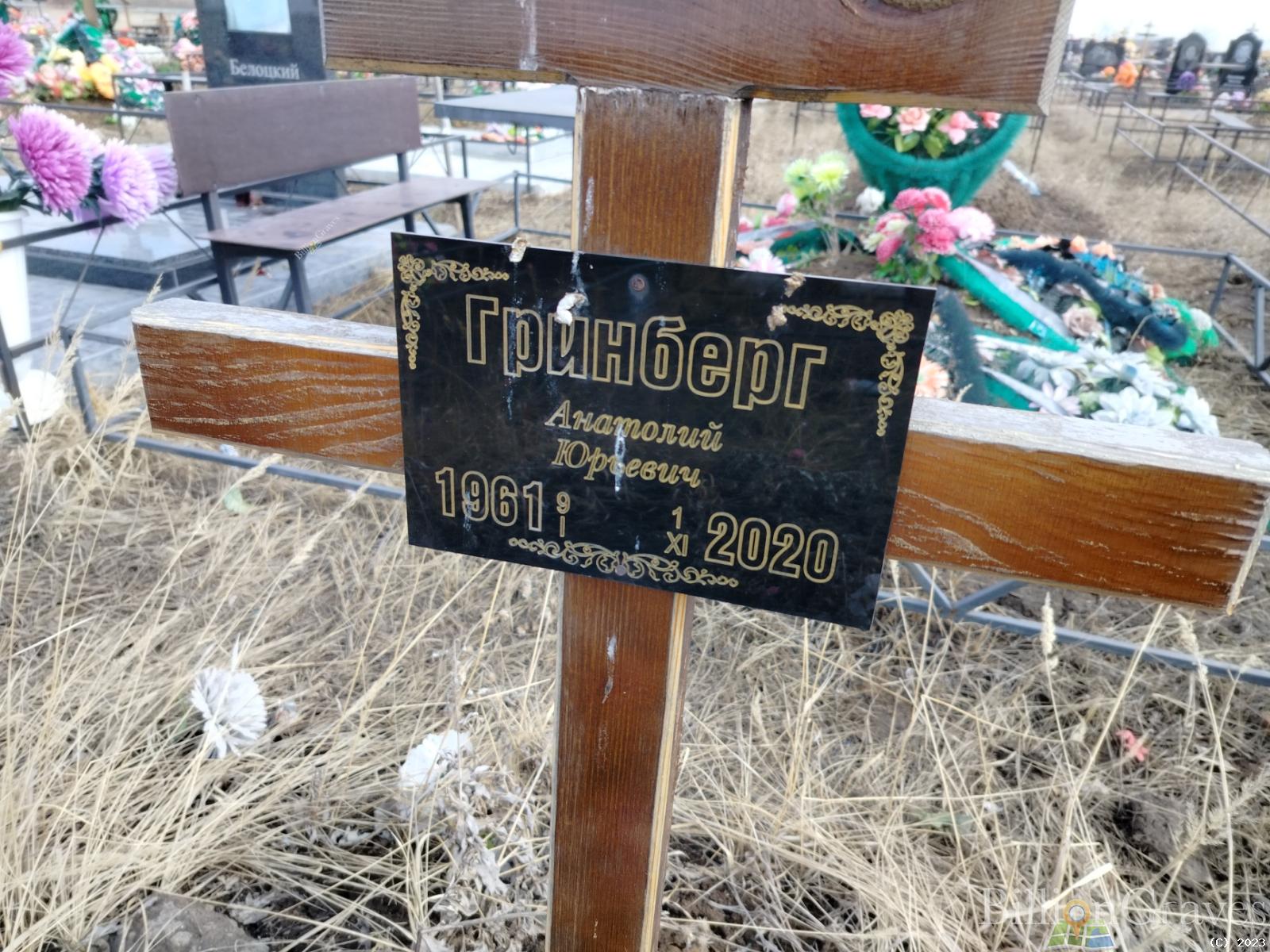 Гринберг Анатолий Юрьевич