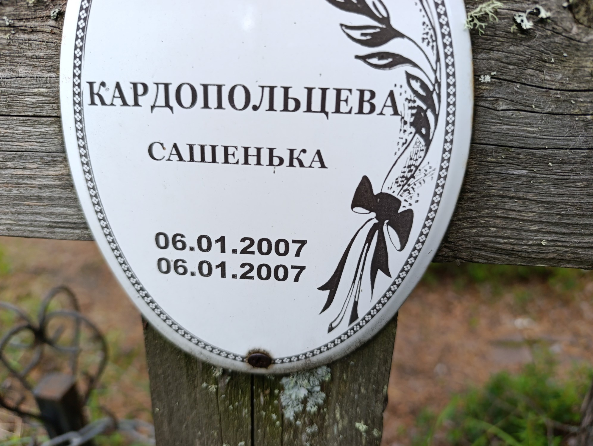 Кардопольцева Сашенька