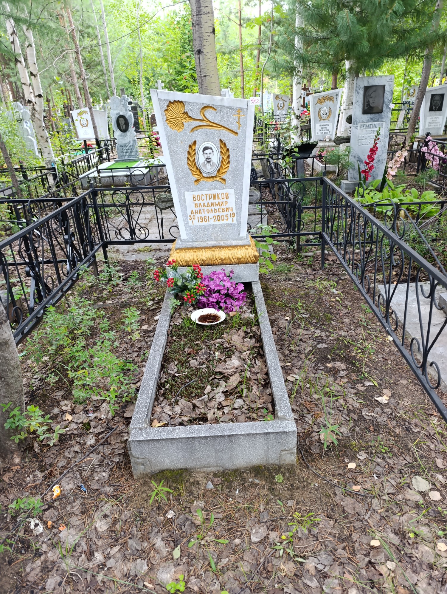 Востриков Владимир Анатольевич