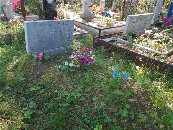 Одинцева Анна Евгеньевна