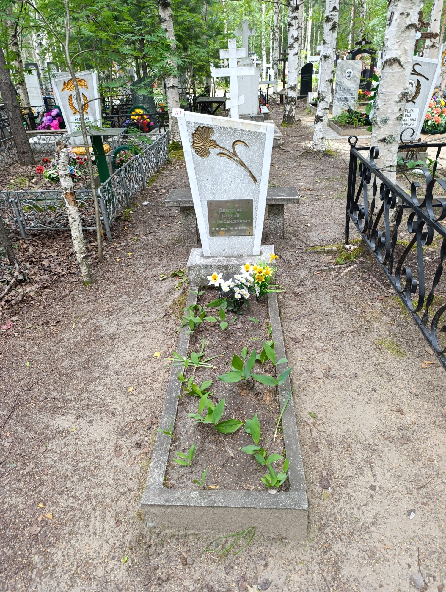 Демедюк Степан Александрович