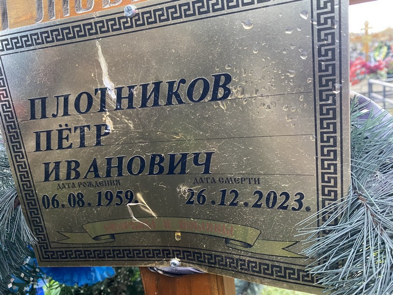 Плотников