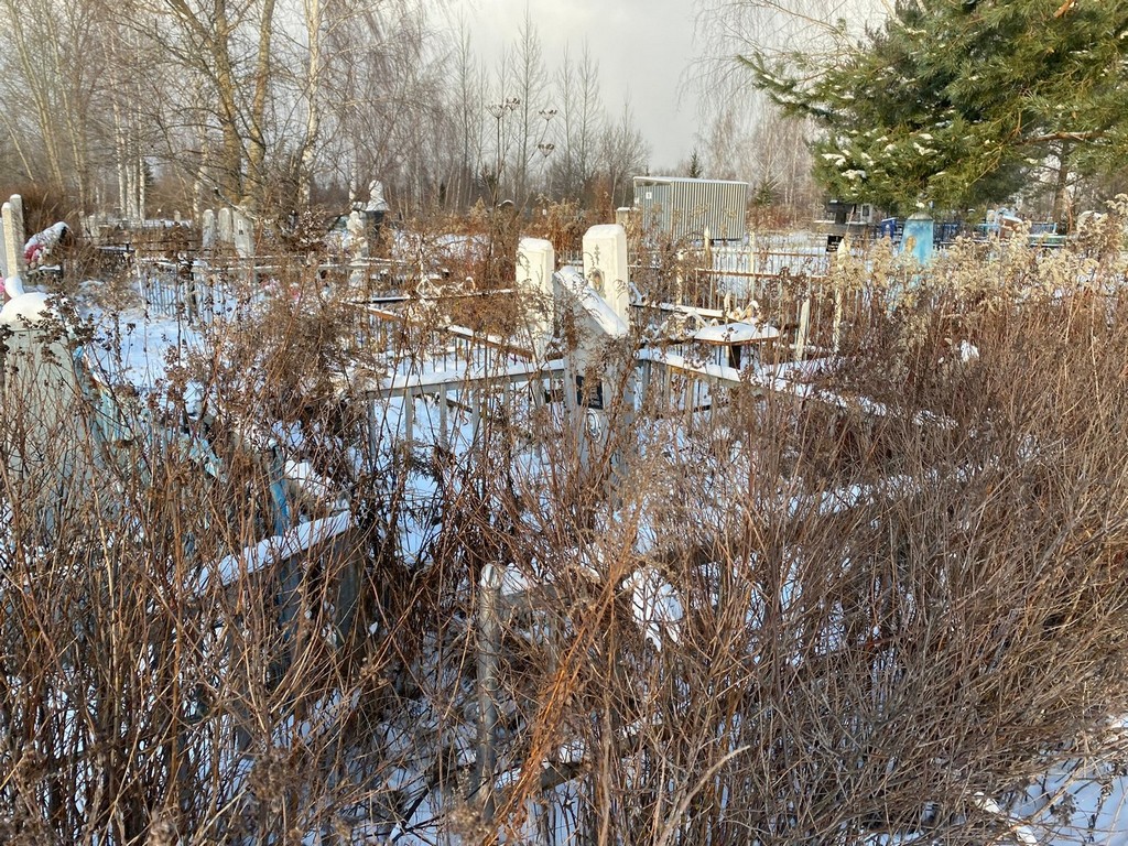 Косарева Анастасия Сергеевна