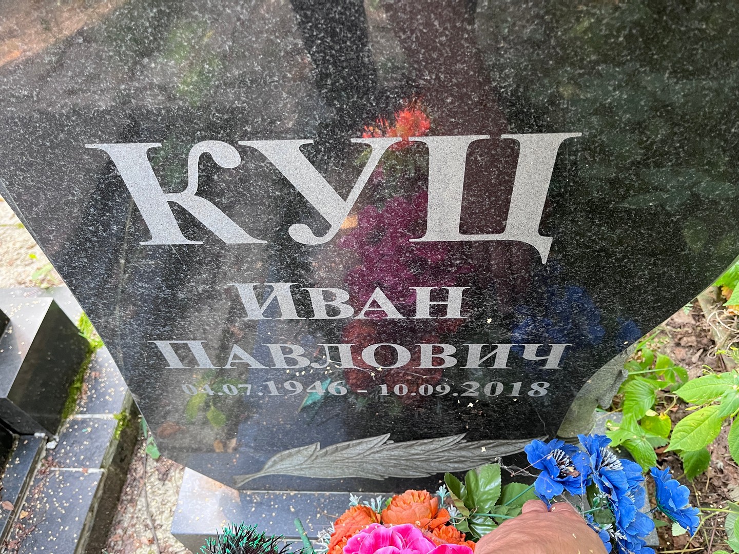 Куц