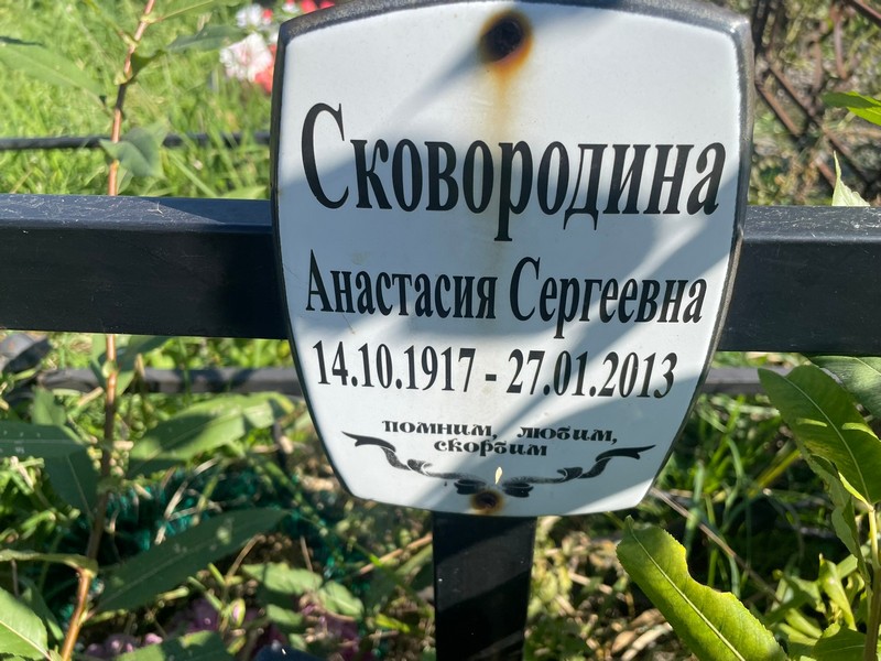 Сковородина Анастасия Сергеевна