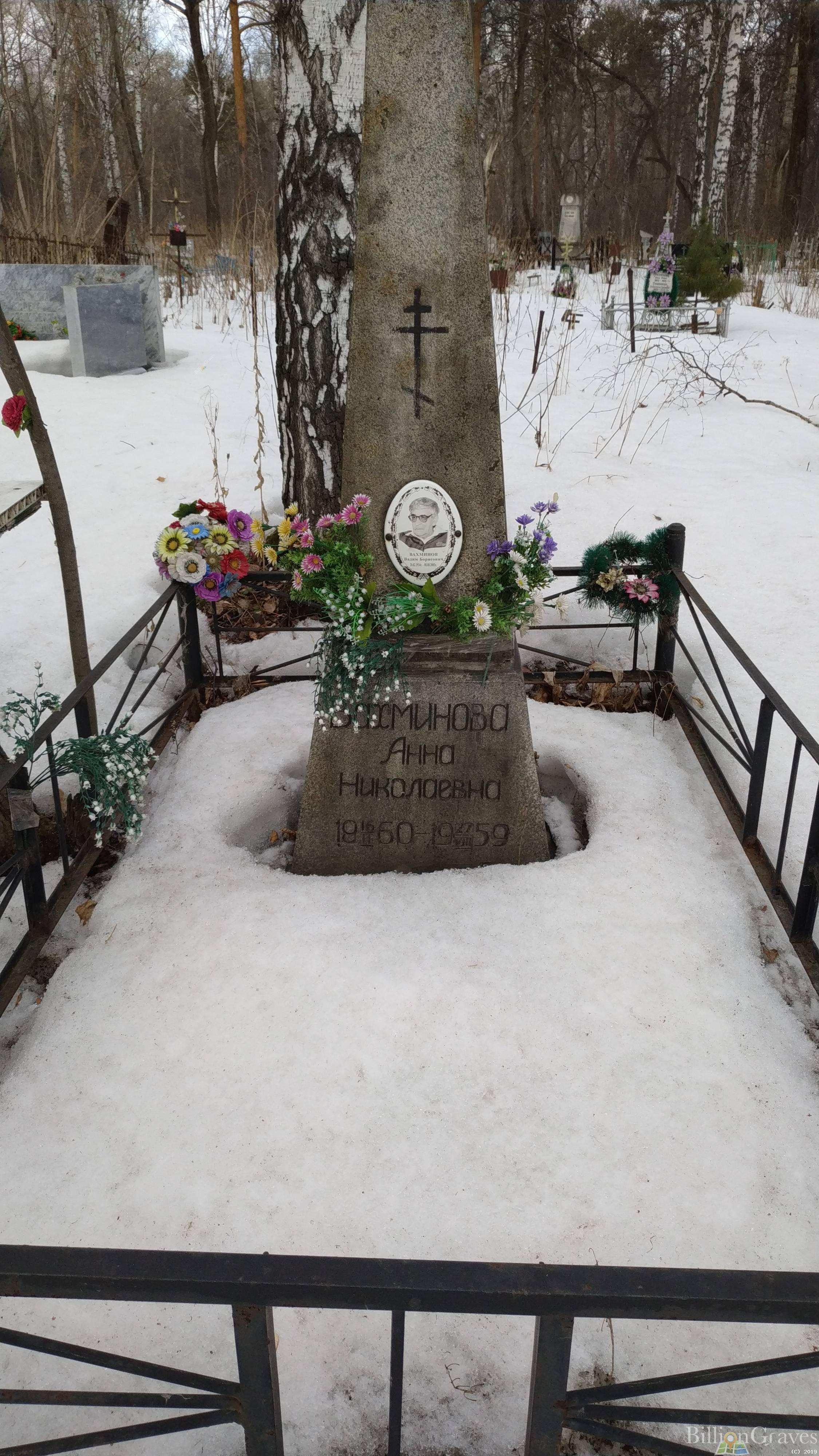 Вахминова Анна Николаевна