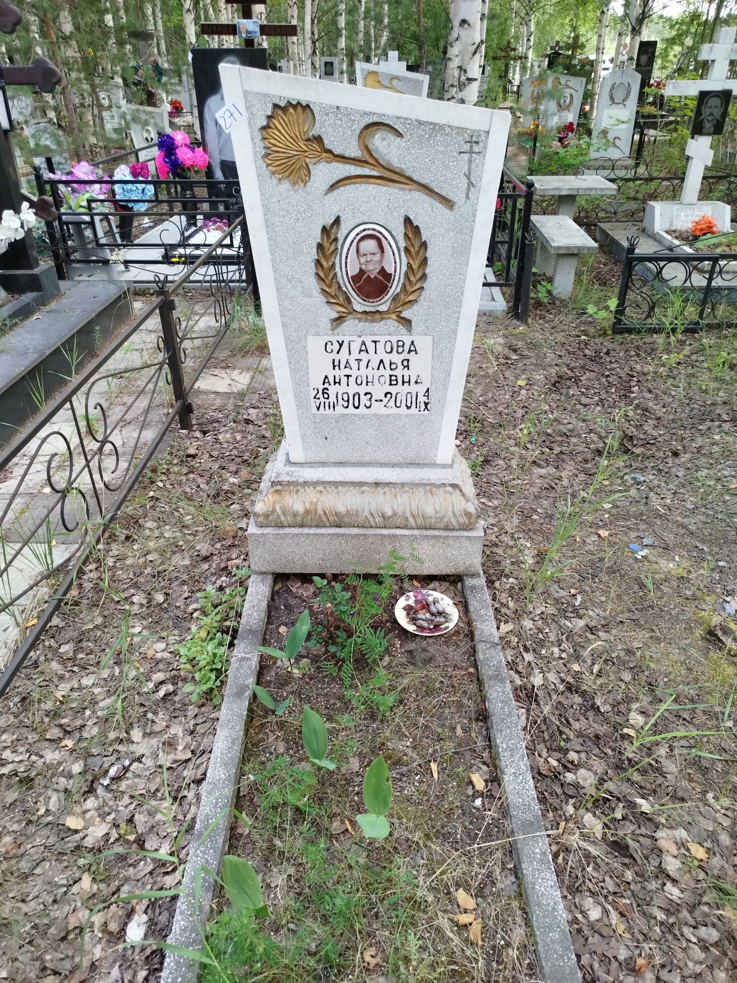 Сугатова Наталья Анатольевна