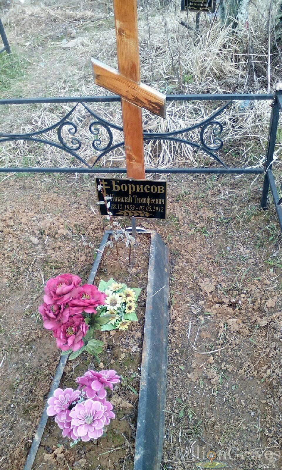 борисов николай тимофеевич
