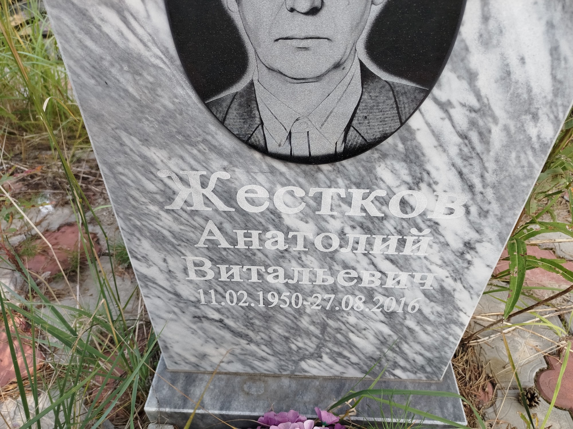 Жестков Анатолий Витальевич