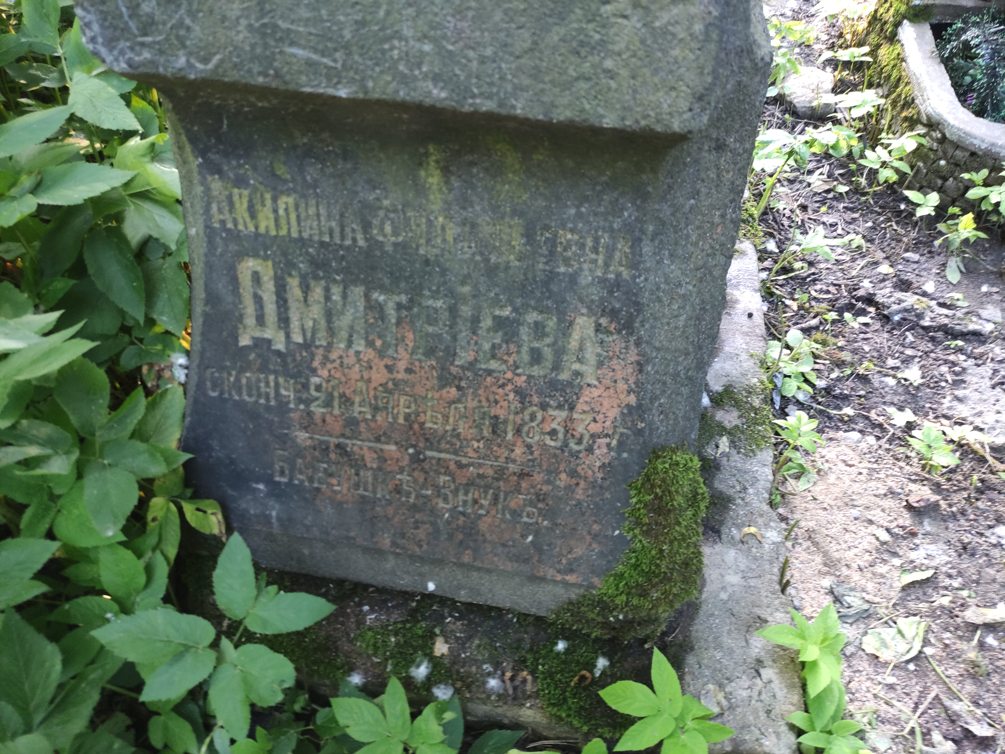 Дмитриева Акилина