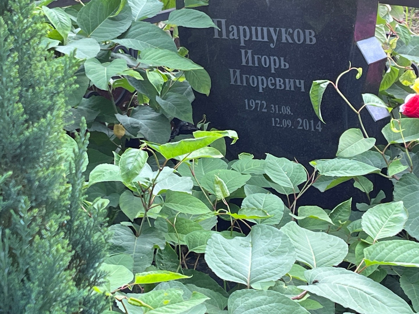 Паршуков