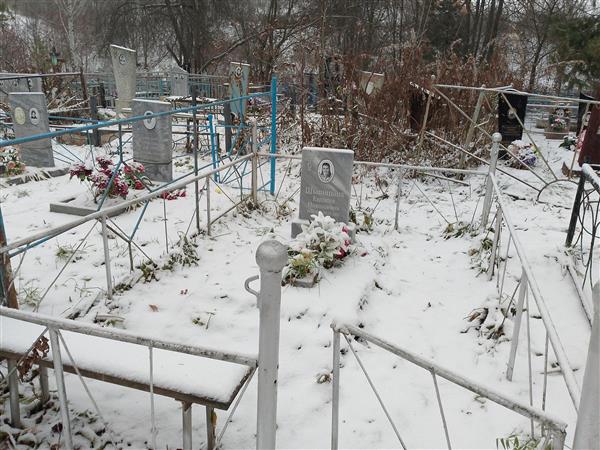 Шыпицына Евдокия Николаевна