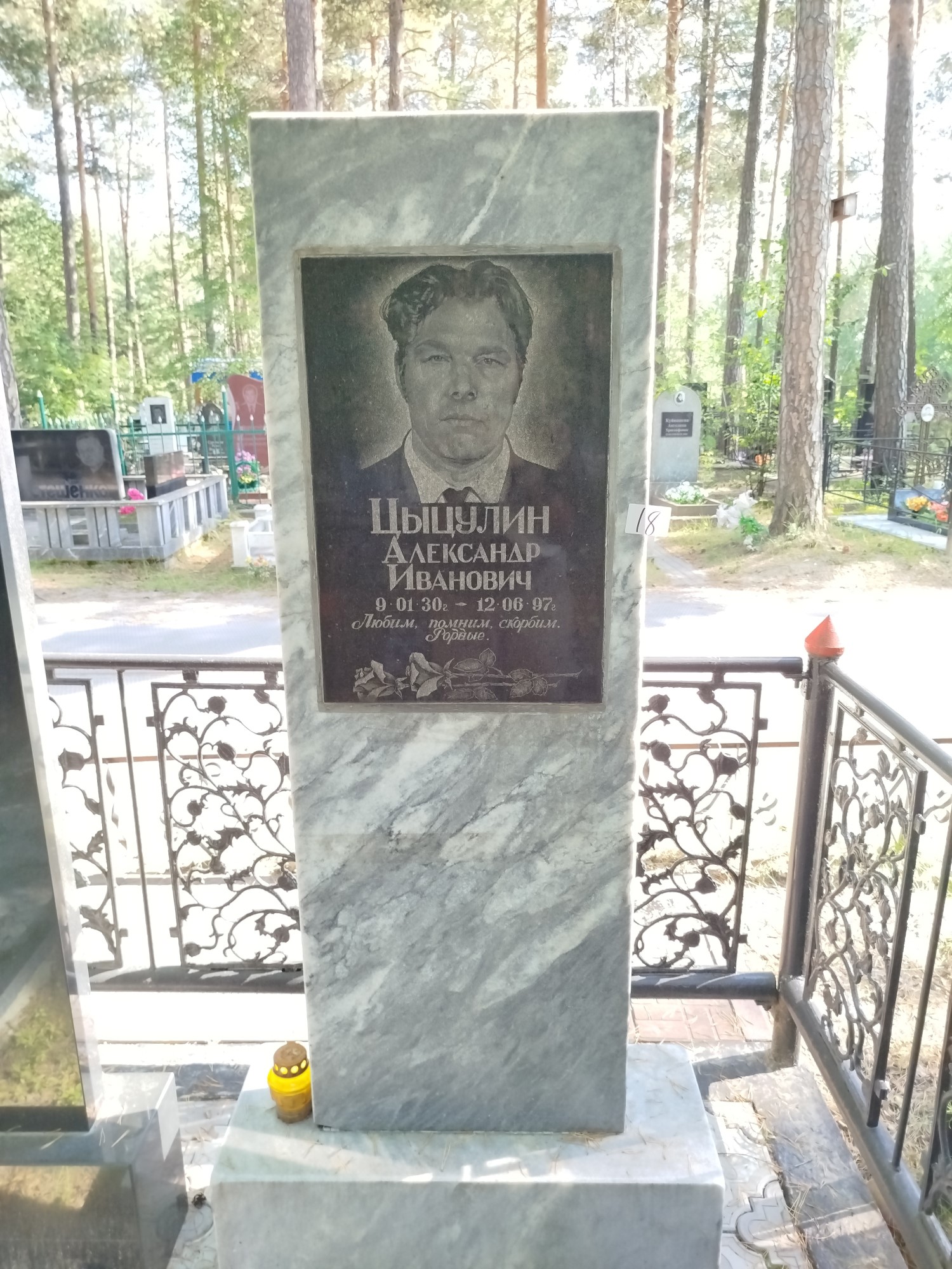 Цыцулин Александр Иванович