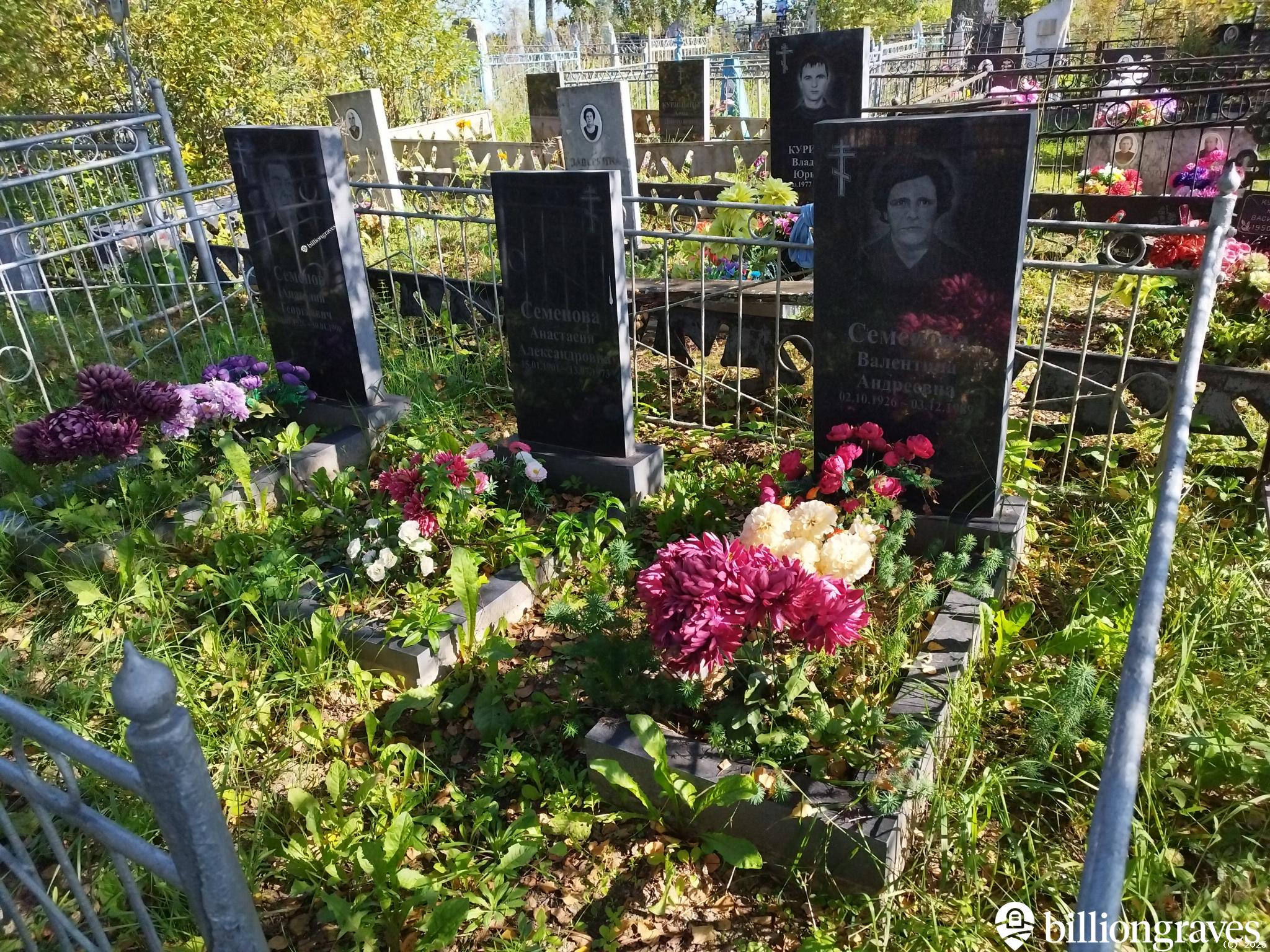 Семенова Анастасия Александровна