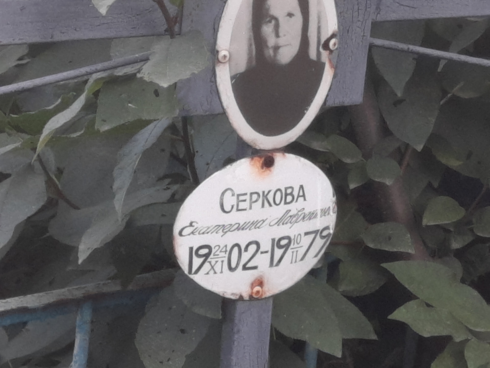 Серкова Екатерина Лаврентьевна
