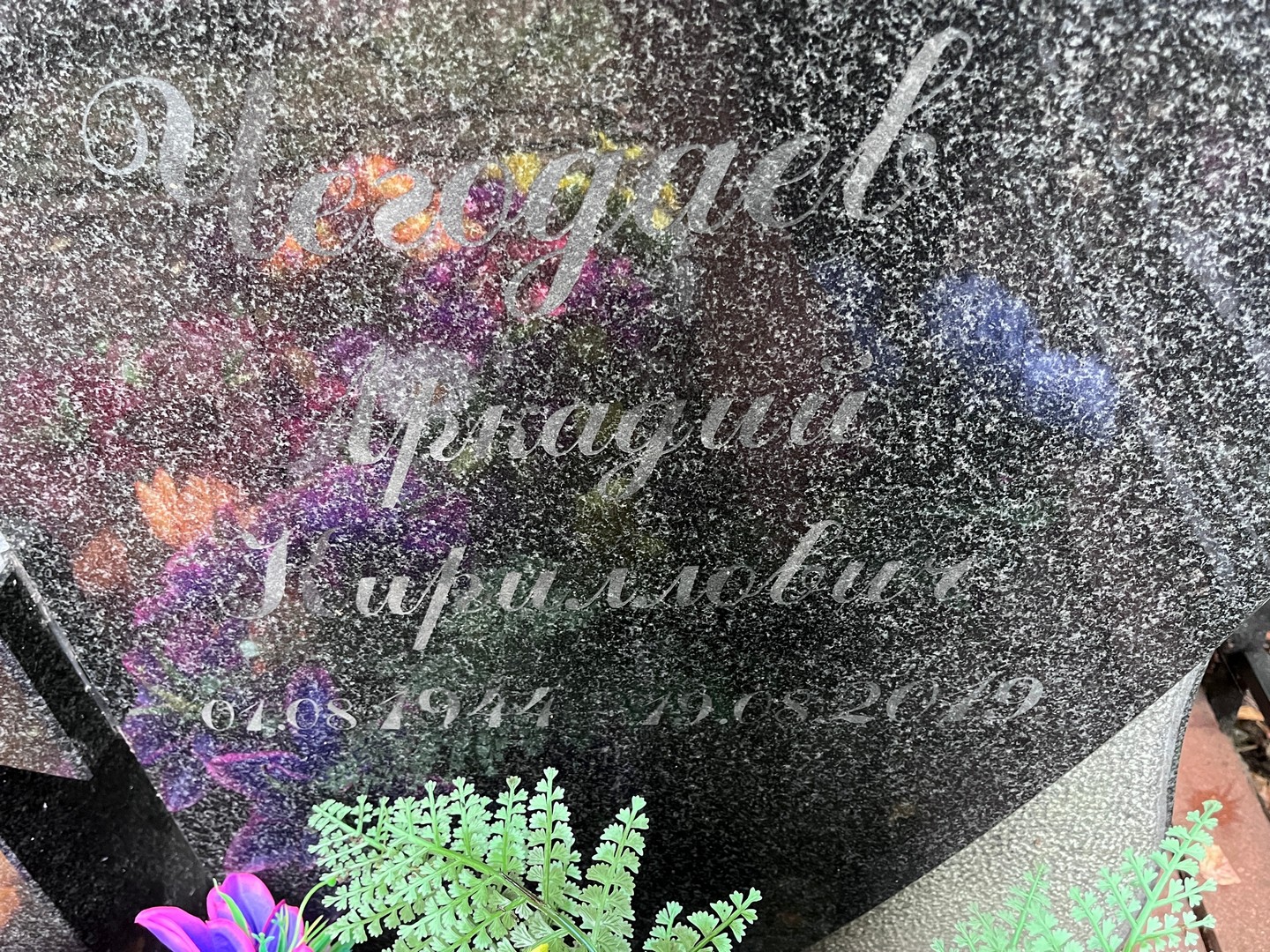 Чегодаев