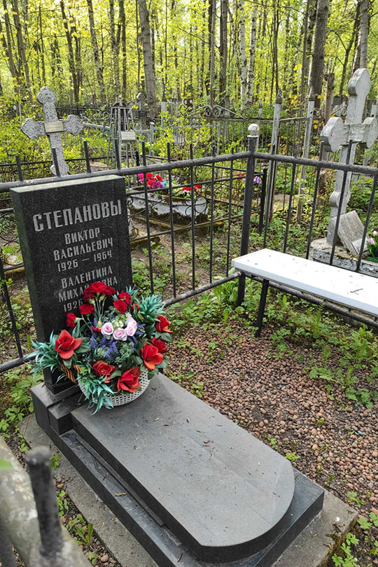 Степанов Виктор Васильевич