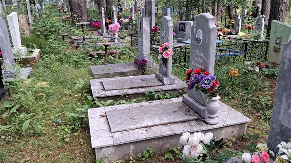 Елькин Тимофей Степанович